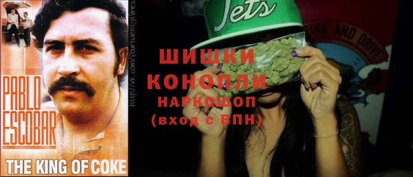 прущий лед Алзамай