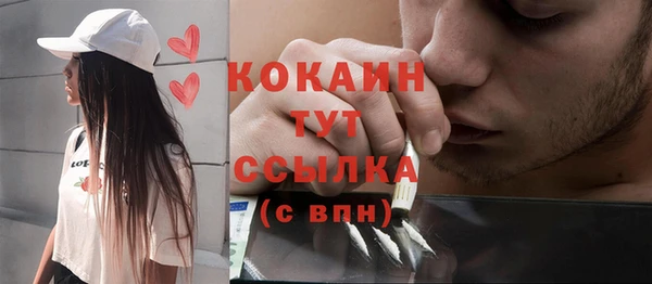 прущий лед Алзамай