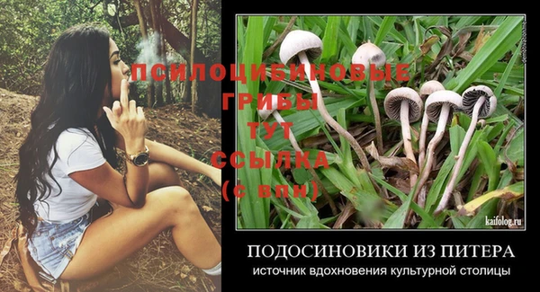 прущий лед Алзамай